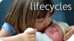 Lifecycle Events