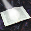 Shabbat and Weekday Services